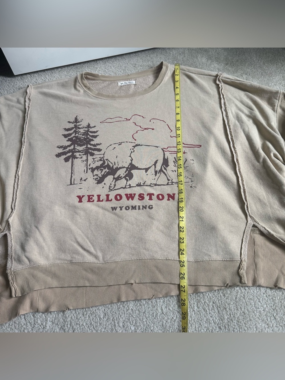 Free People We The Free Yellowstone Bison Camden Sweatshirt Beige Graphic - Picture 8 of 13